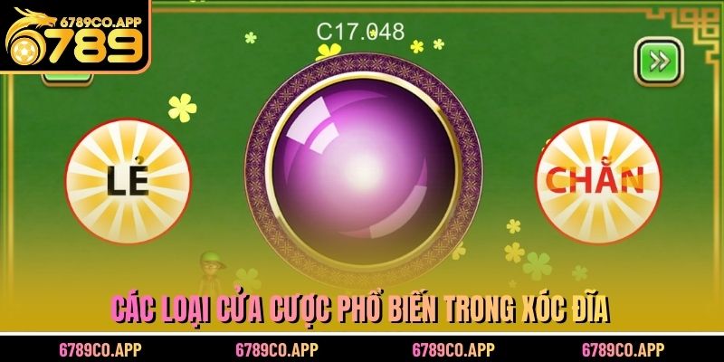 Các loại cửa cược phổ biến trong xóc đĩa