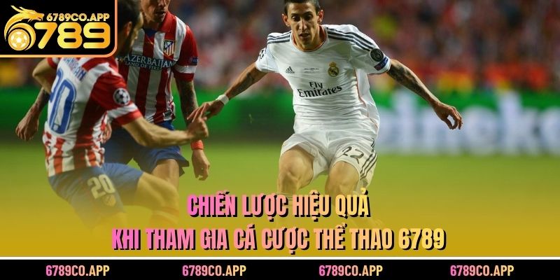 Luôn đọc kỹ các quy định, điều khoản của nhà cái