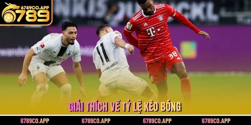 Giải thích về tỷ lệ kèo bóng