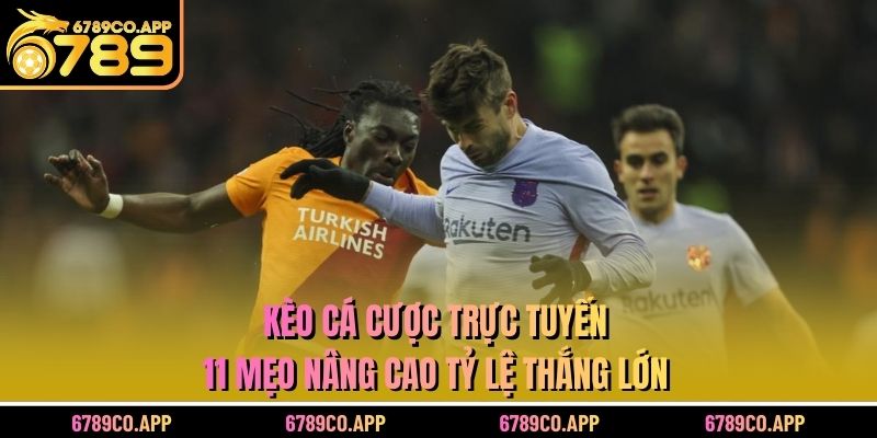 Kèo Cá Cược Trực Tuyến: 11 Mẹo Nâng Cao Tỷ Lệ Thắng Lớn