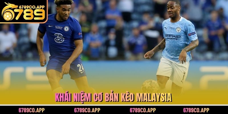 Tỷ Lệ Kèo Malaysia Là Gì? Đọc Bảng Cược Chuẩn Xác Nhất