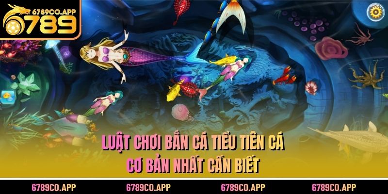 Luật chơi bắn cá tiểu tiên cá cơ bản nhất cần biết