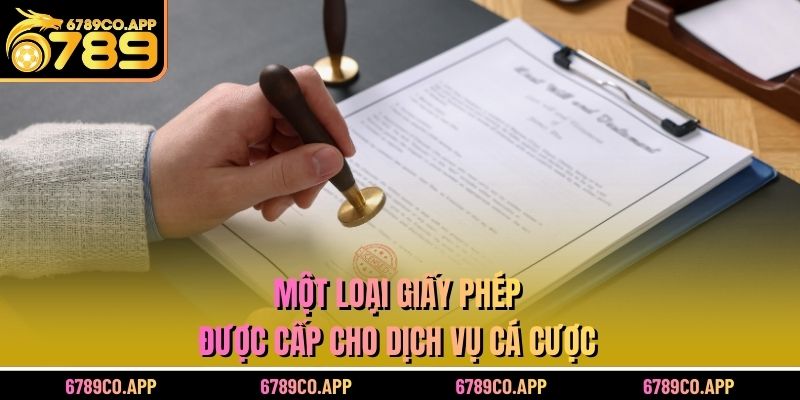 Một loại giấy phép được cấp cho dịch vụ cá cược