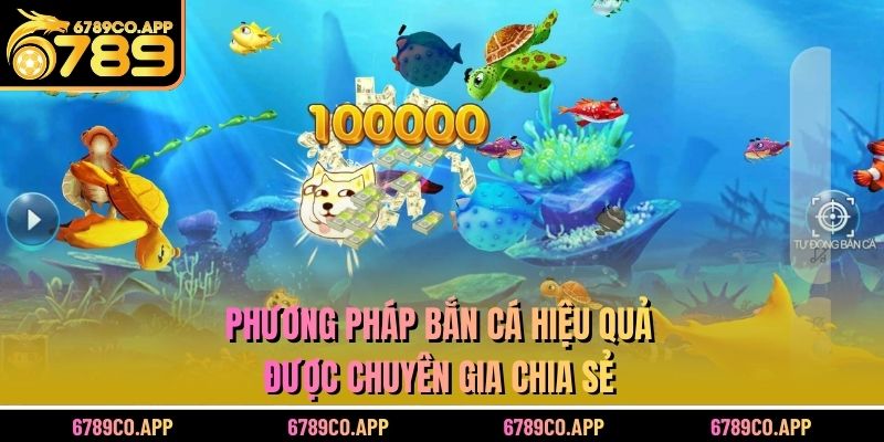 Phương pháp bắn cá hiệu quả được chuyên gia chia sẻ