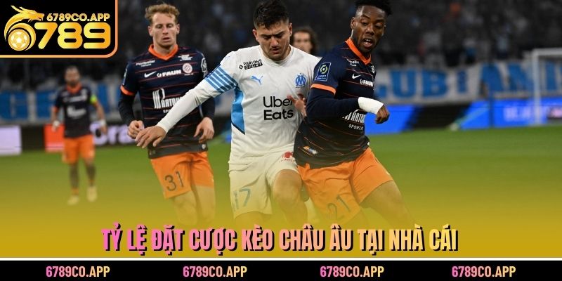 Tỷ lệ đặt cược kèo châu Âu tại nhà cái